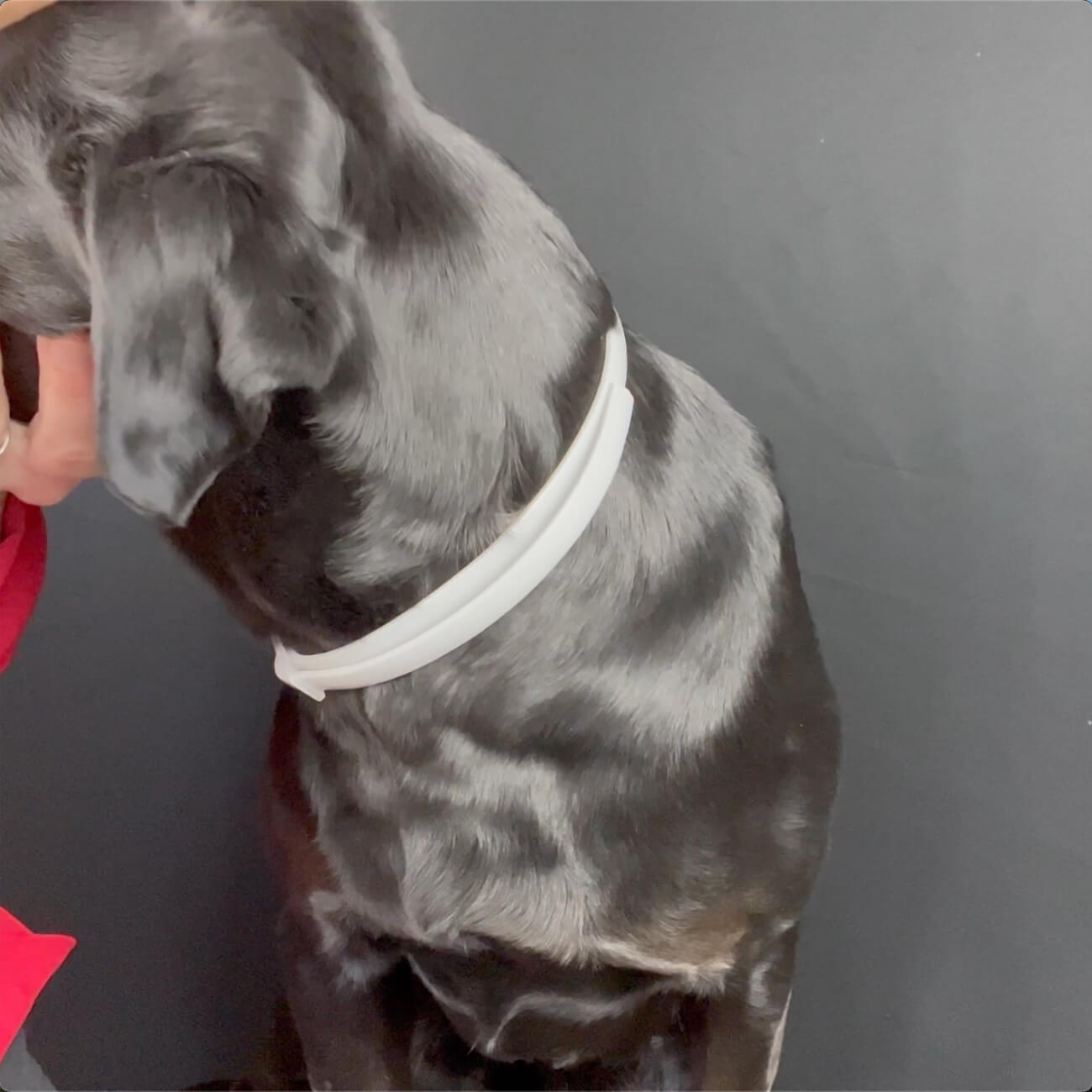 Read Everything. Now Make the Right Call.